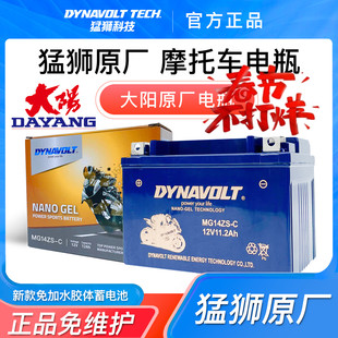 猛狮大阳摩托车DY125T-28H/29H ADV150T-36 V锐150T-30/30C电瓶