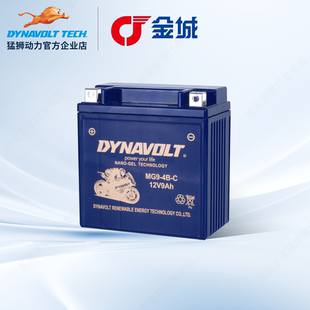 金城圣甲虫200 AD1阿迪瓦ADIVA200提拉米苏JC200T欧陆宝AJ201电瓶