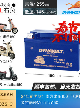 猛狮摩托车电瓶适用南方米乐150 飞戈150 梦拉丽莎Melalisa150