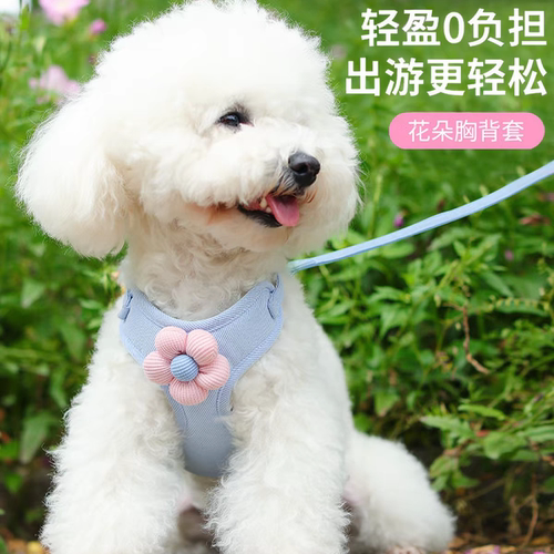 工字型猫咪牵引绳日本小型犬狗狗背心式胸背带防挣脱宠物外出用品