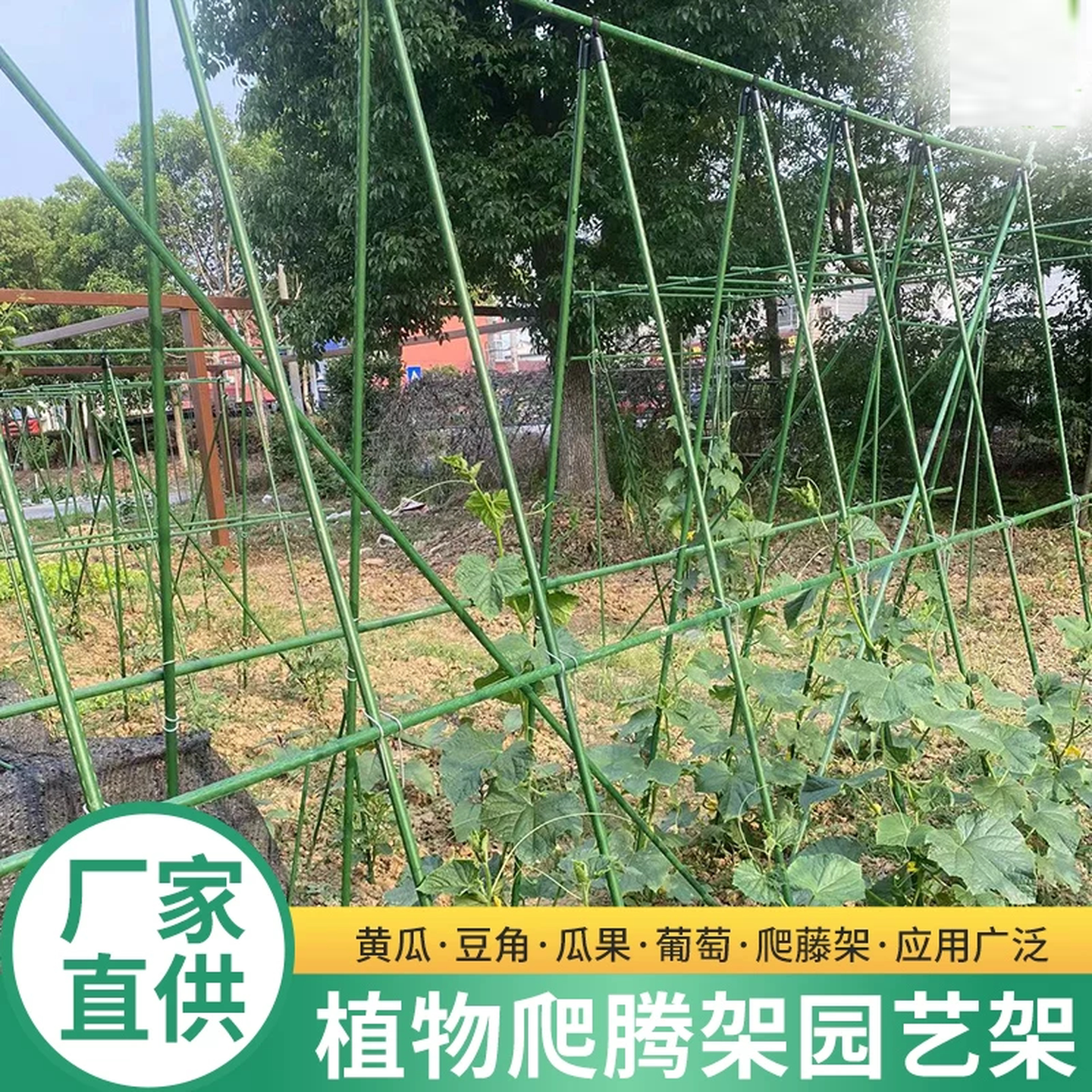 豆角黄瓜爬藤架种菜架子庭院葡萄架包塑钢管植物支架户外攀爬架子图片
