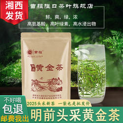 2025新茶苗疆隘口正宗湘西黄金茶明前保靖头采嫩芽散装绿茶叶250g