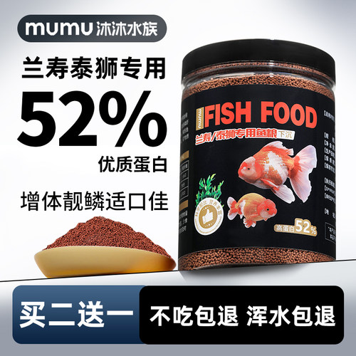 兰寿金鱼蝴蝶鲤发鳍鱼食观赏鱼