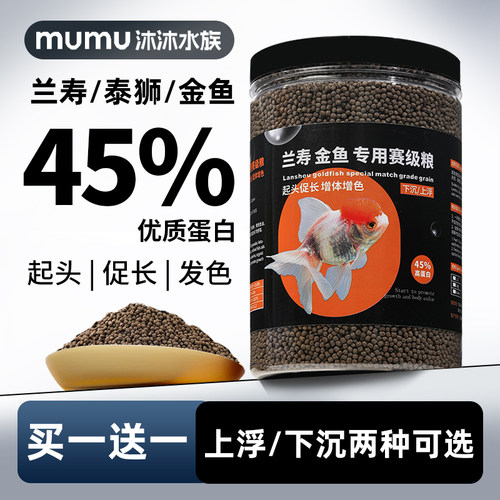 兰寿金鱼上浮下沉高蛋白增体发色