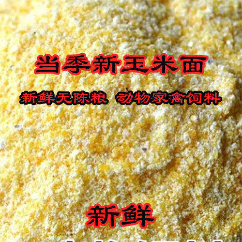 当年新玉米面100斤包邮粉