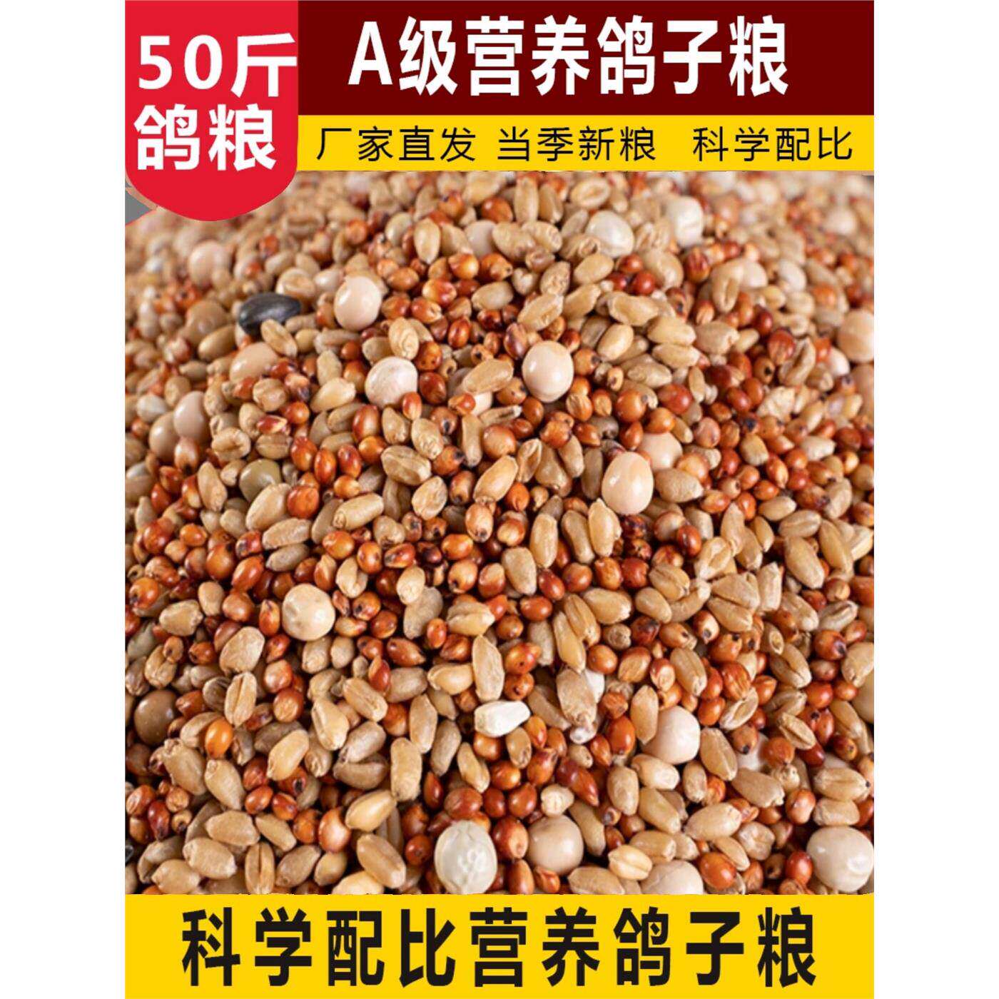 100斤有玉米营养鸽粮2肉