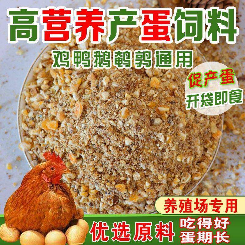 厂家鸡饲料5斤大鸡育成期