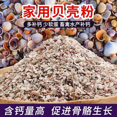 贝壳粉喂鸡高钙贝壳粉家禽专用壮骨畜禽饲料养鸡鸭鹅鸽子养殖产蛋