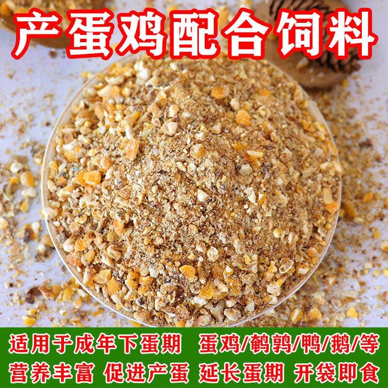 蛋鸡饲料青年中鸡育成期