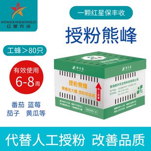 授粉熊蜂雄蜂番茄甜瓜授粉草莓蓝莓授粉约100只(蜂王工蜂)6-8周