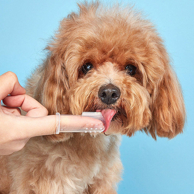 跨境热销宠物手指刷 硅胶手指套狗狗猫咪牙刷 去污渍清洁口腔用品,宠物/宠物食品及用品,狗口腔清洁,淘宝优惠券,粉丝福利购,淘宝优惠卷