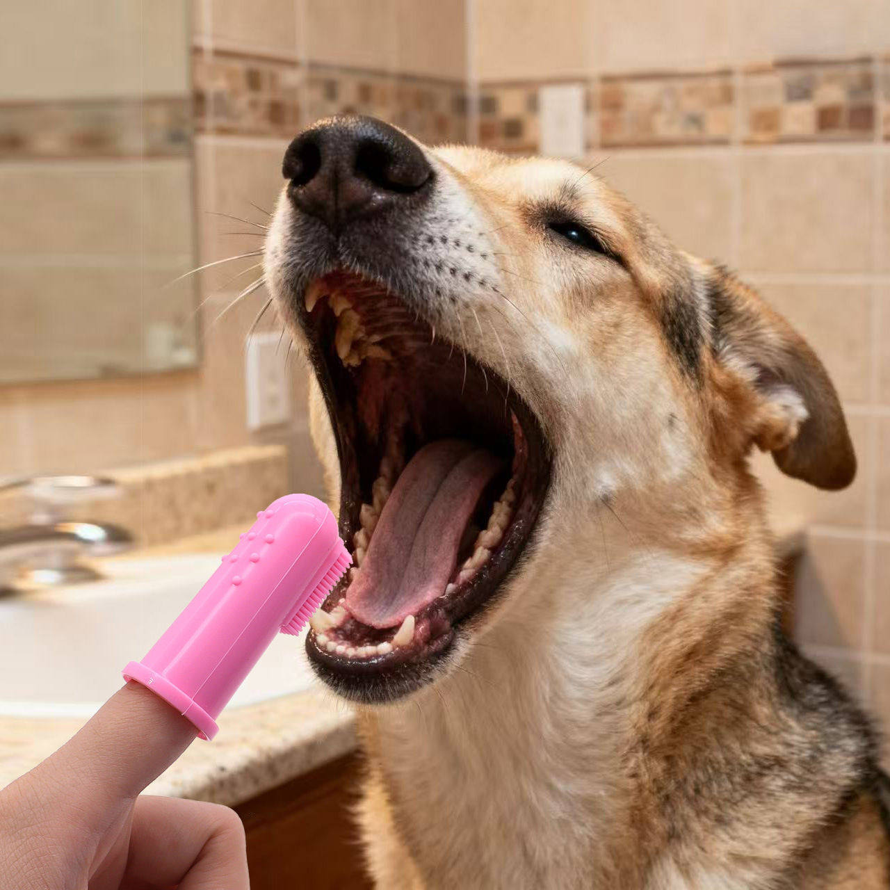 硅胶宠物牙刷狗狗口腔清洁手指刷狗牙刷猫咪洁牙指套猫刷牙指套刷