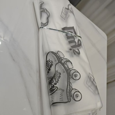 随机发10个乐事校园袋子环保袋手提袋透明袋子比较薄