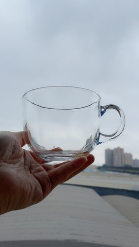 250ml牛奶咖啡杯饮水杯口杯钠钙玻璃低于60度水温