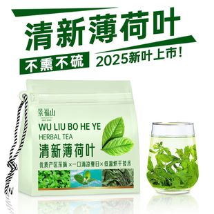 景福山薄荷叶茶清新薄荷清凉茶代用茶无硫新鲜嫩叶精选30g袋装