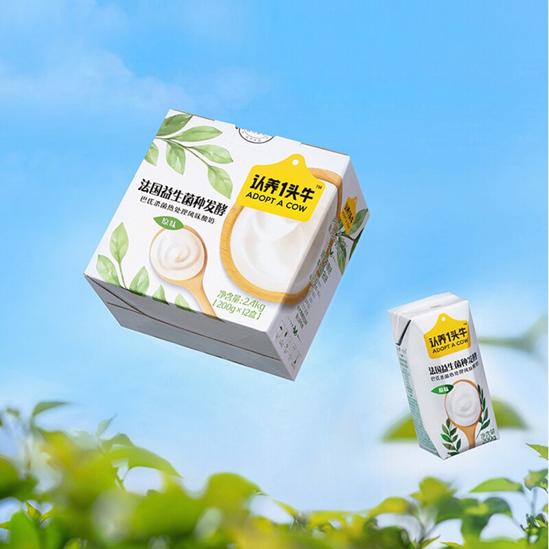 200g*12盒孕妇儿童营养酸奶生牛乳配料宝宝喜欢喝的酸牛奶特价促销