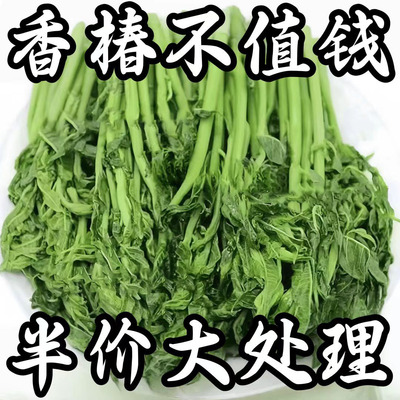 香椿芽咸菜山东特产手工新鲜下饭