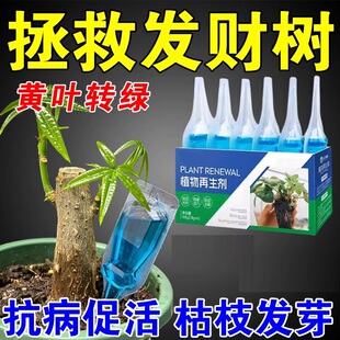 发财树再生剂专用营养液黄叶枯叶烂根专用盆栽植物再生复活液肥料
