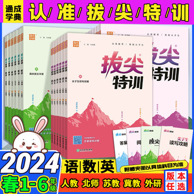 2024春下册小学拔尖特训同步练习