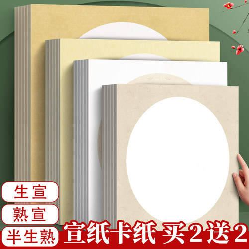 国画卡纸镜面宣卡纸美术半生熟宣