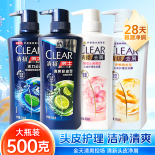 清扬洗发水男士 洗发露大瓶实惠500ml 专用清爽控油蓬松去屑正品