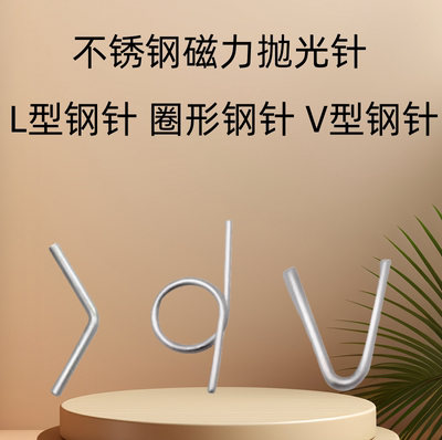 3042205不锈钢带圈钢针