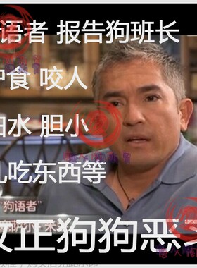 狗语者报告狗班长训狗spjc狗不听话护食咬人怕水乱吃东西.
