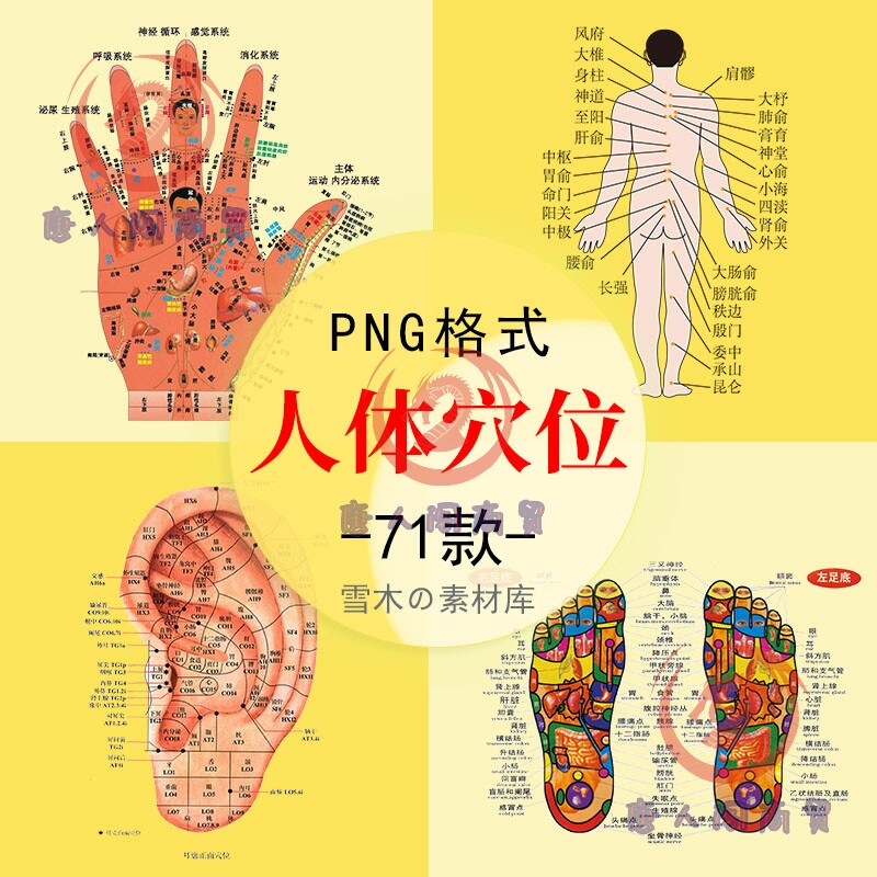 古代中医人体穴位图全身经络图解其它设计服务