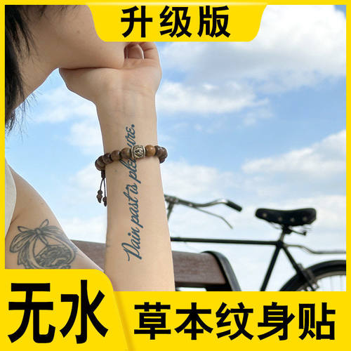 无水草本纹身贴痛苦过去即快乐英文花体半永久果汁刺青免水贴纸