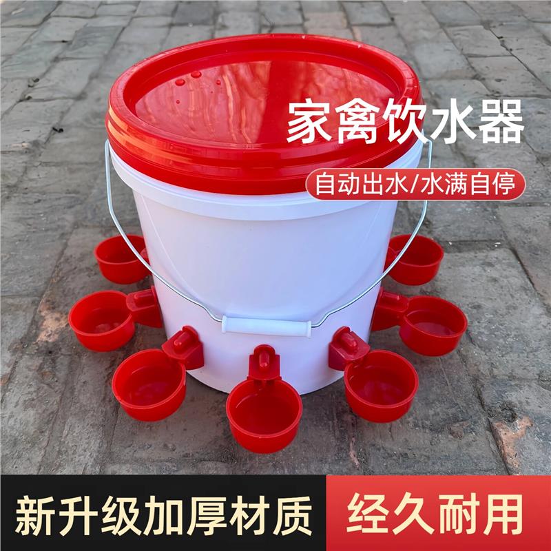 2026鸡鸭鹅饮水碗养殖自动饮水器喂鸡懒人神器小鸡喂水家禽鸽子喝