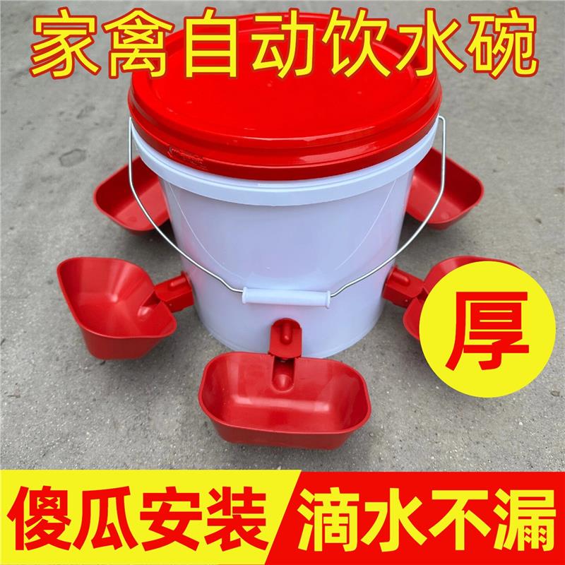 2026喂鸡食槽水槽一体特大号鸡鸭鹅自动饮水器鸭子喂水家禽宠物用