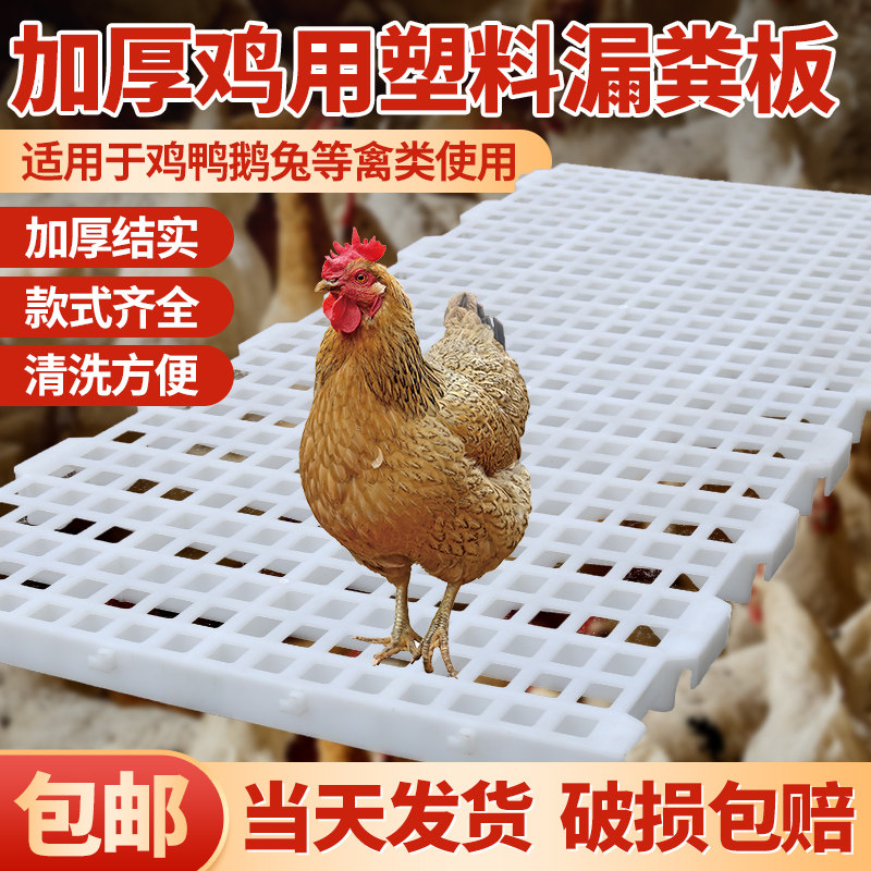 2026鸡用漏粪板鸡鸭鹅鸽子家禽加厚塑料漏屎板鸡舍鸡笼隔粪板网格