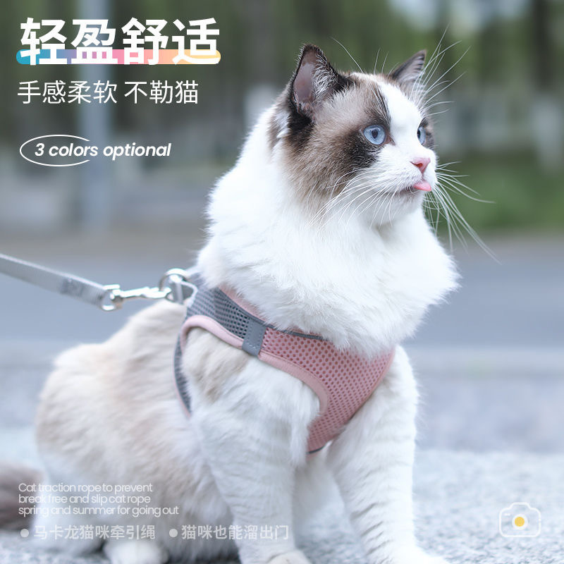 春夏猫咪牵引绳防挣脱外出专用透气胸背牵引绳外出背心式溜猫神器