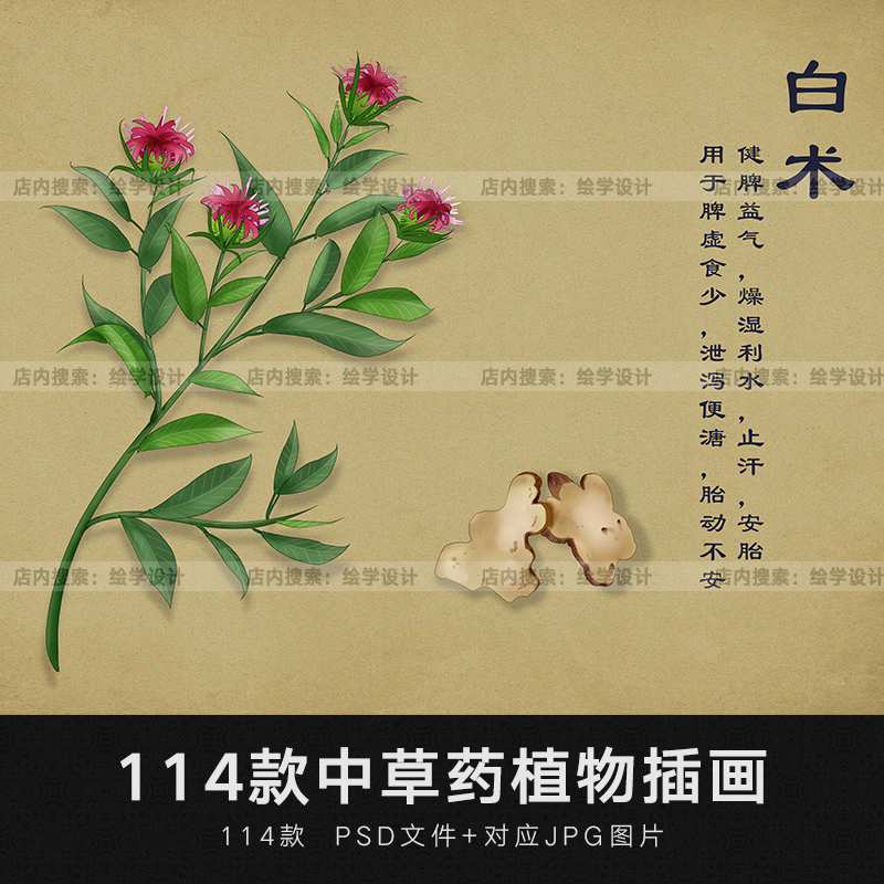 手绘中草药草本植物插画设计素材广告封面包装绘画