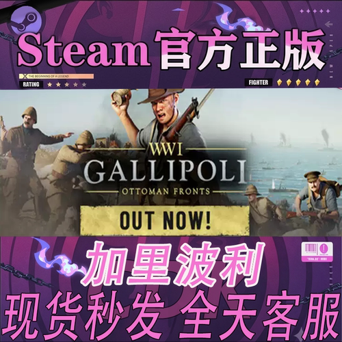 Steam正版游戏加里波利好友礼物