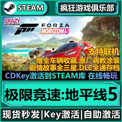 Steam极限竞速地平
