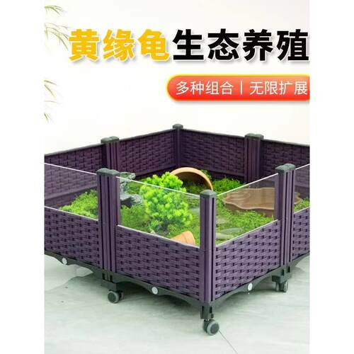 带轮子黄缘龟乌龟缸家用
