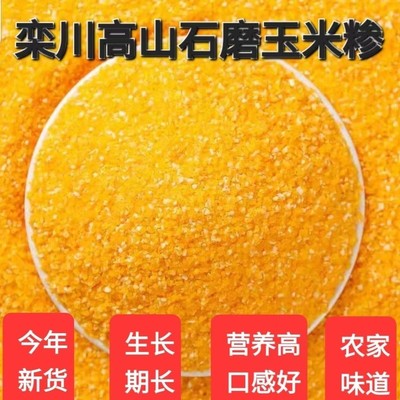 栾川黄金玉米糁25年新玉米生长期长营养高口感好老品种栾川发货