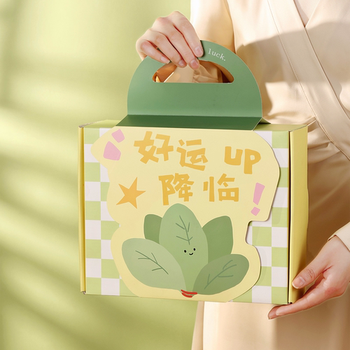 量子猜想去晦柚子叶好运香氛香薰礼盒创意幸运挂件新年转运礼物