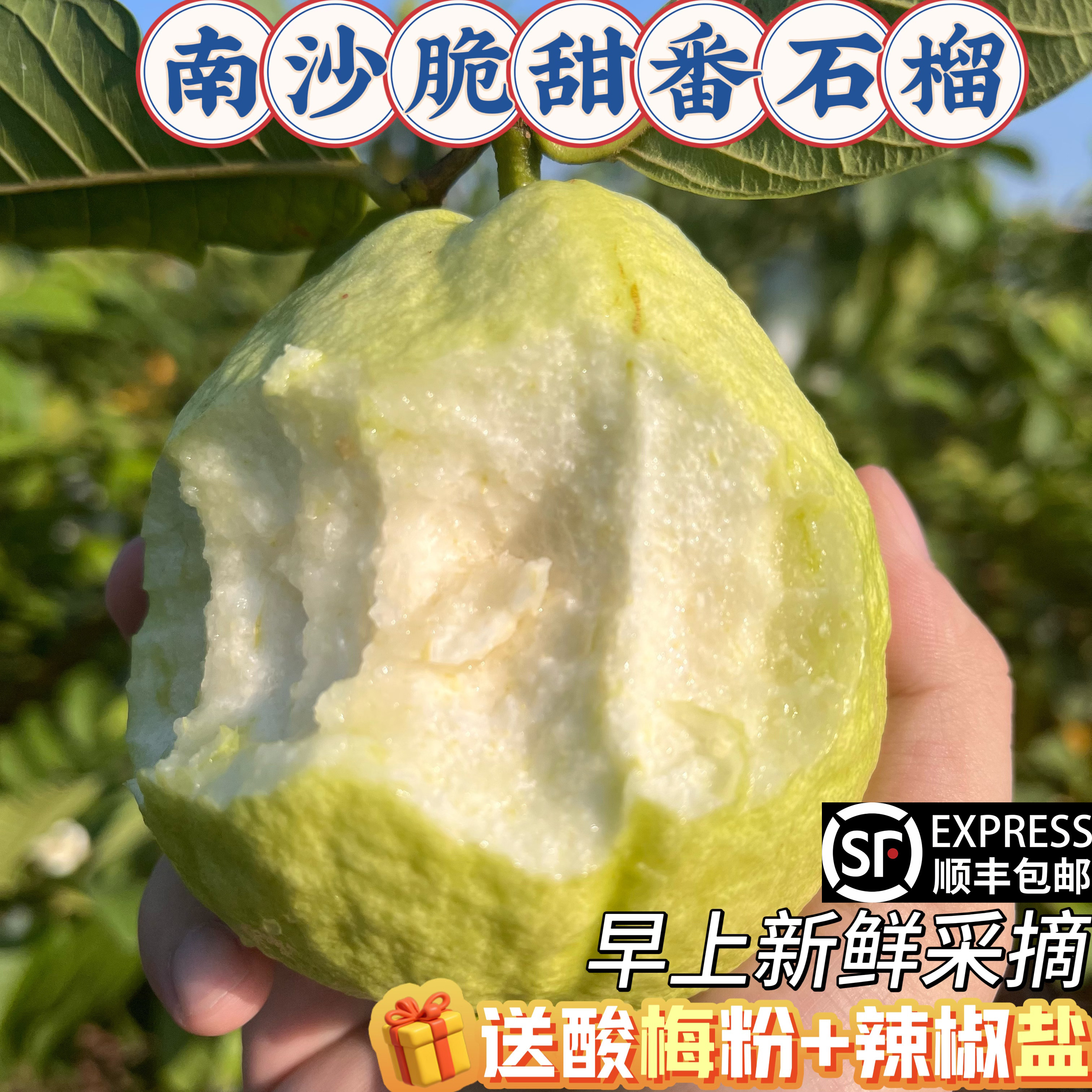 广东广州南沙本地脆甜芭乐红心巴乐奶油番石榴低糖新鲜水果包邮蕃