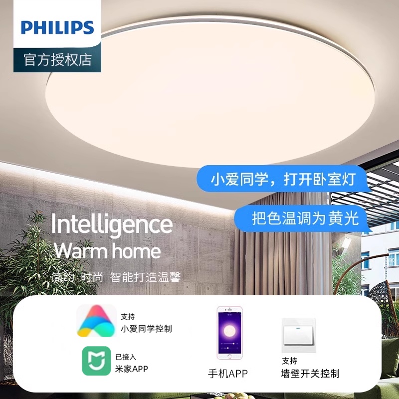 已接入米家小爱同学语音控制灯具
