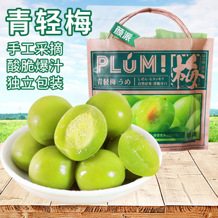 颜派青轻梅清脆酸梅铁观音茶梅青梅蜜饯网红零食爽口轻轻梅116g