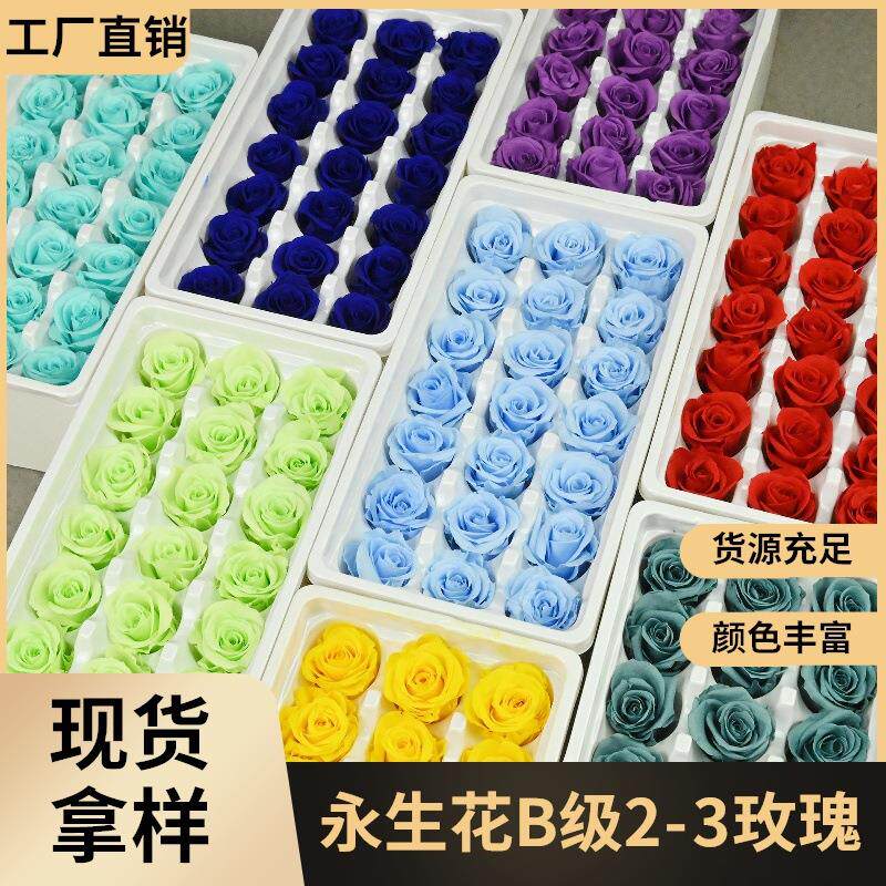 幻花永生花B级2-3玫瑰花材干花摩天轮玻璃罩七夕diy花头材料