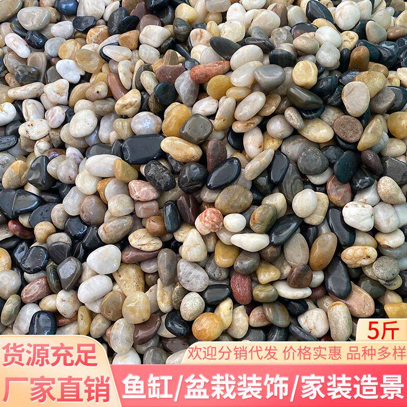 鹅卵石雨花石原石天然石头鱼缸花盆盆栽铺面庭院铺路五彩色小石子
