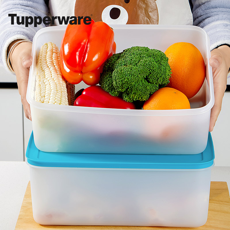 特百惠冷冻冷藏两用超大保鲜盒