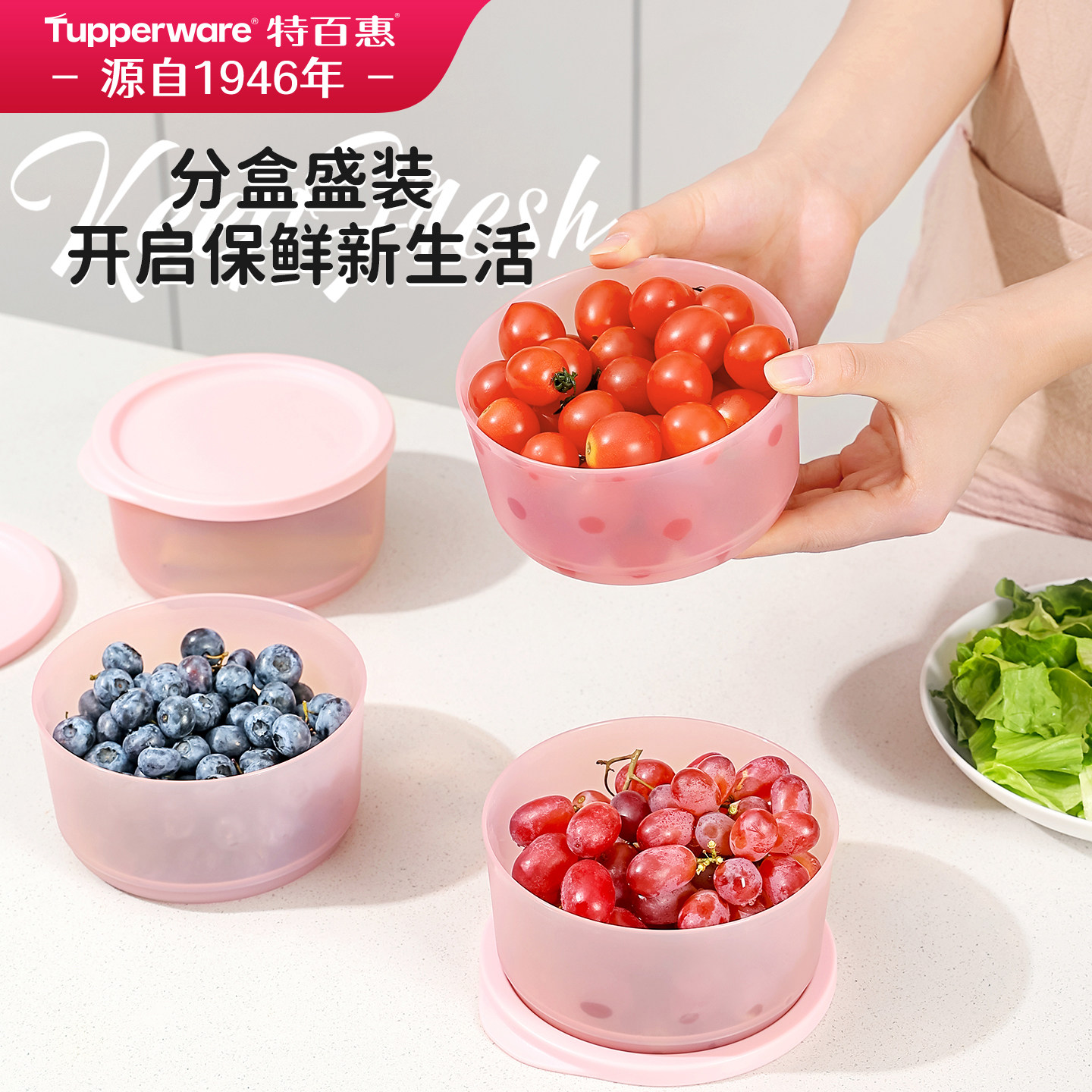 特百惠530ml带盖保鲜盒4件套水果密封盒食品级收纳盒冰箱专用盒子