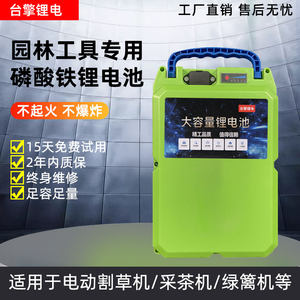 24V/48V水泵园林工具专用锂电池