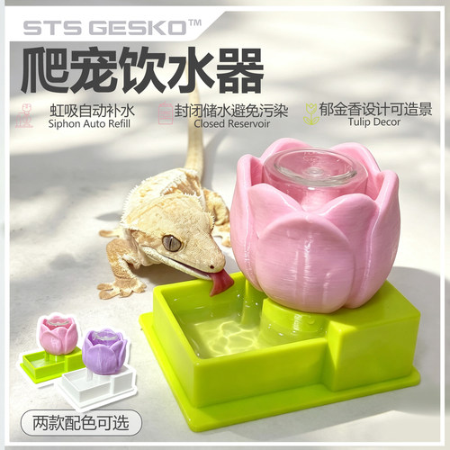睫角守宫小型自动饮水器爬宠蜥蜴壁虎仓鼠树蛙饲养箱水盆自动供水
