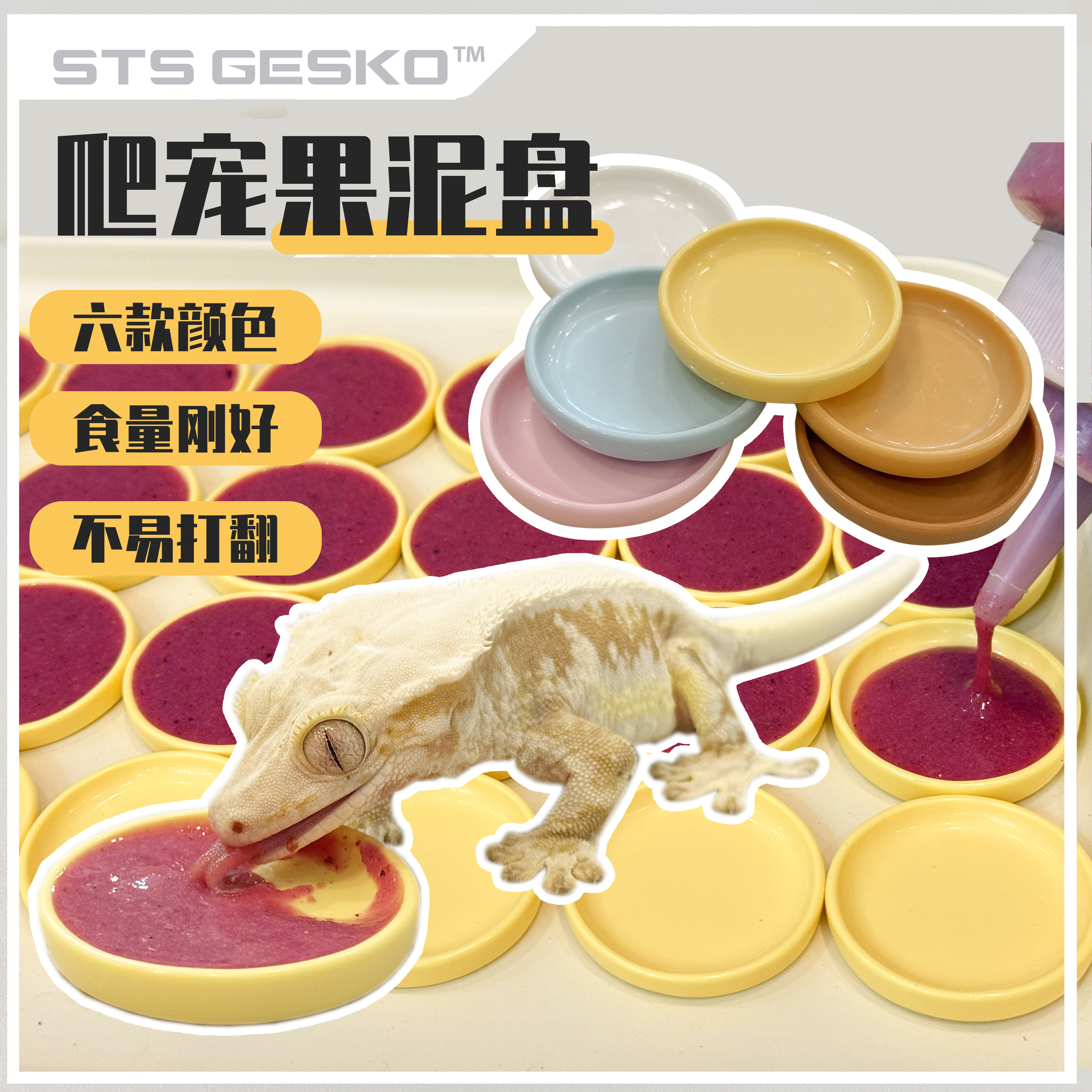 爬宠食盆果泥盘食碟碗睫角守宫蜥蜴盖勾亚R属亚成体及成体适用