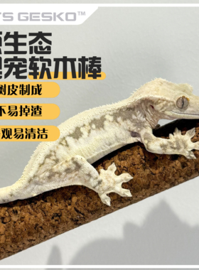 树栖爬宠攀爬棍软木棒鹦鹉睫角盖勾亚R属守宫树蛙造景藤木原生态